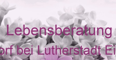 Lebensberatung Ahlsdorf bei Lutherstadt Eisleben | Top-Experten für Kartenlegen, Wahrsagen, Hellsehen, Zukunftsdeutung. Lebensberatung Ahlsdorf bei Lutherstadt Eisleben | Top-Experten für Kartenlegen, Wahrsagen, Hellsehen, Zukunftsdeutung.